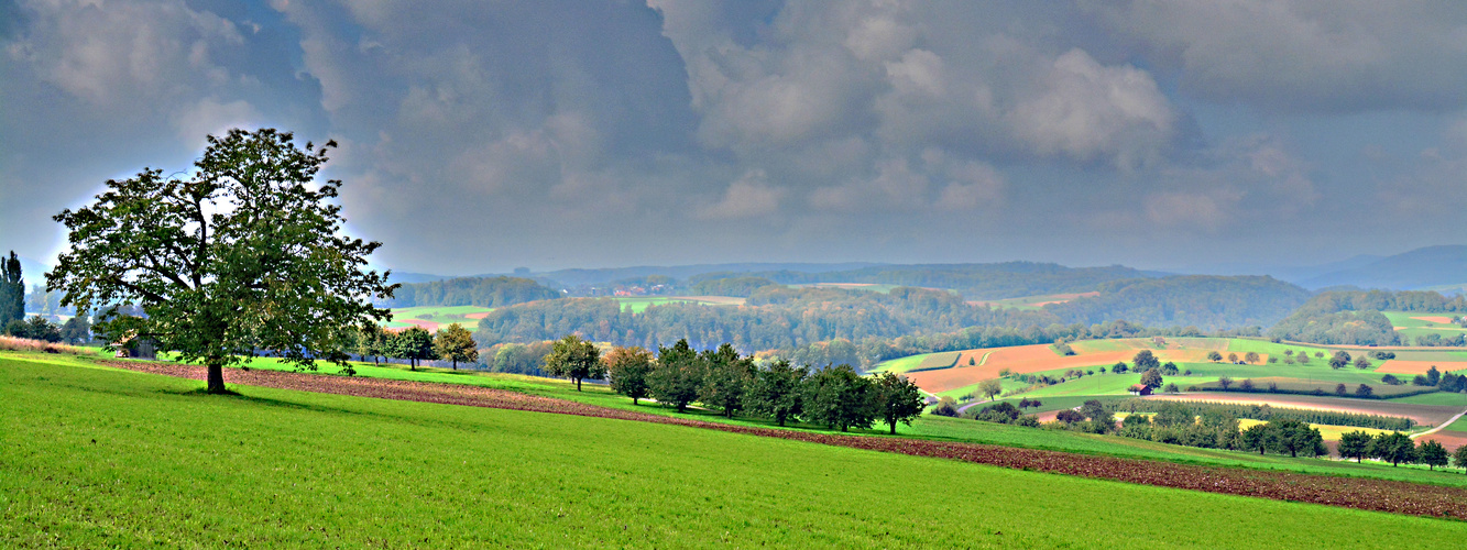 Schweizer Landschaften (87)