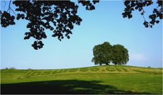 Schweizer Landwirtschaft in eigener Sache