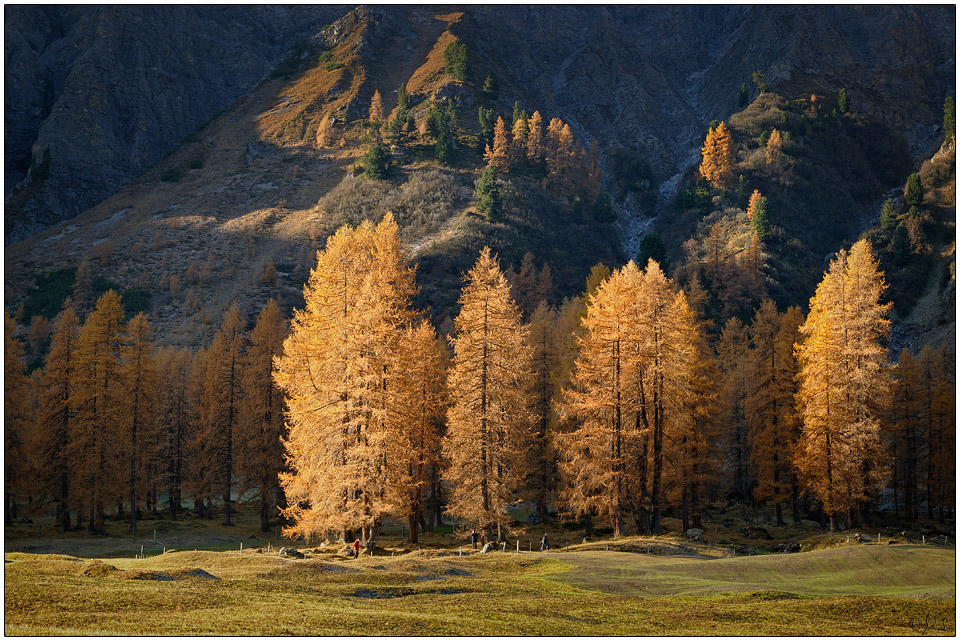 Schweizer Licht