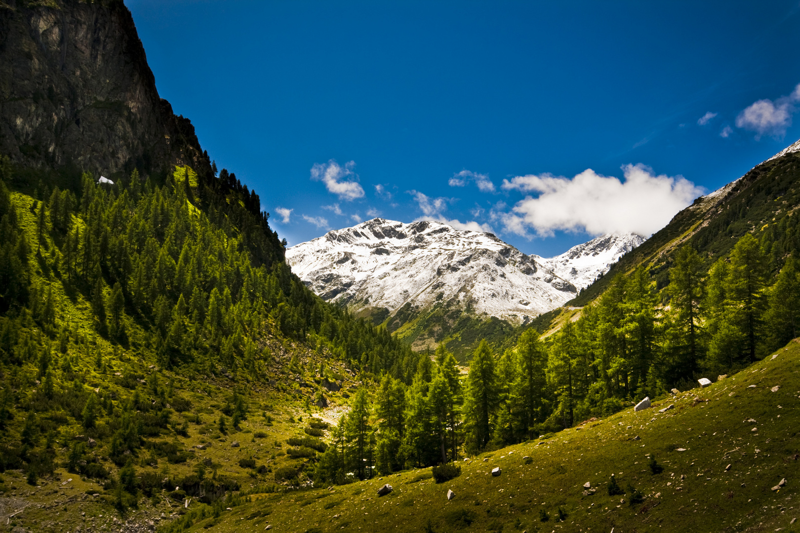 Schweizer Nationalpark 2009
