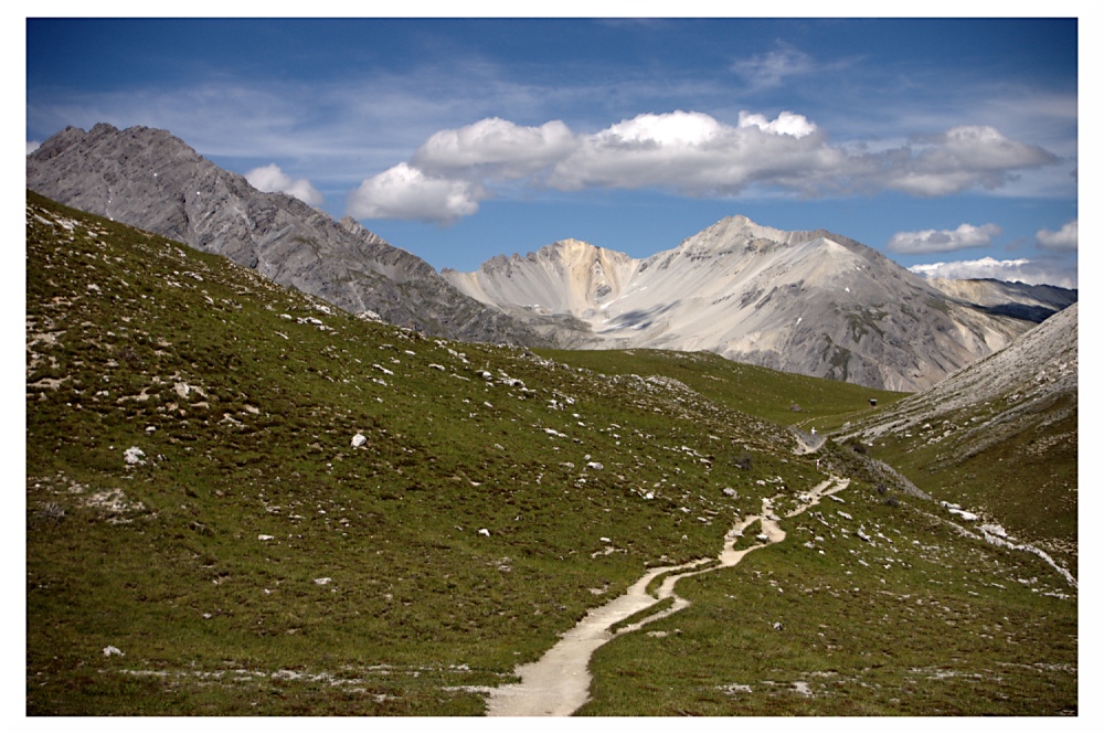 Schweizer Nationalpark IV