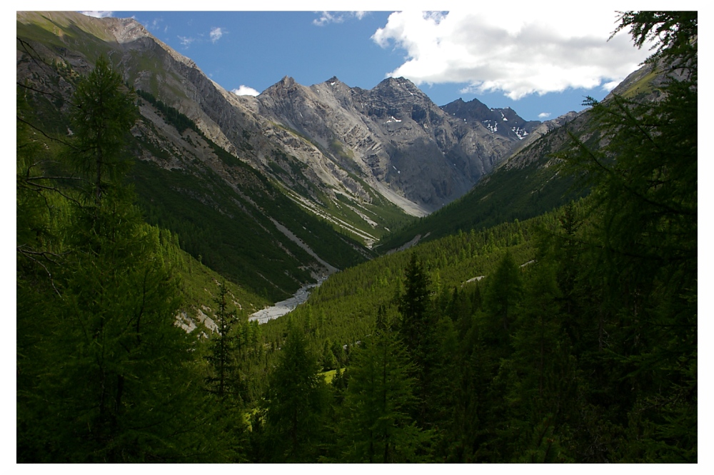 Schweizer Nationalpark Vi