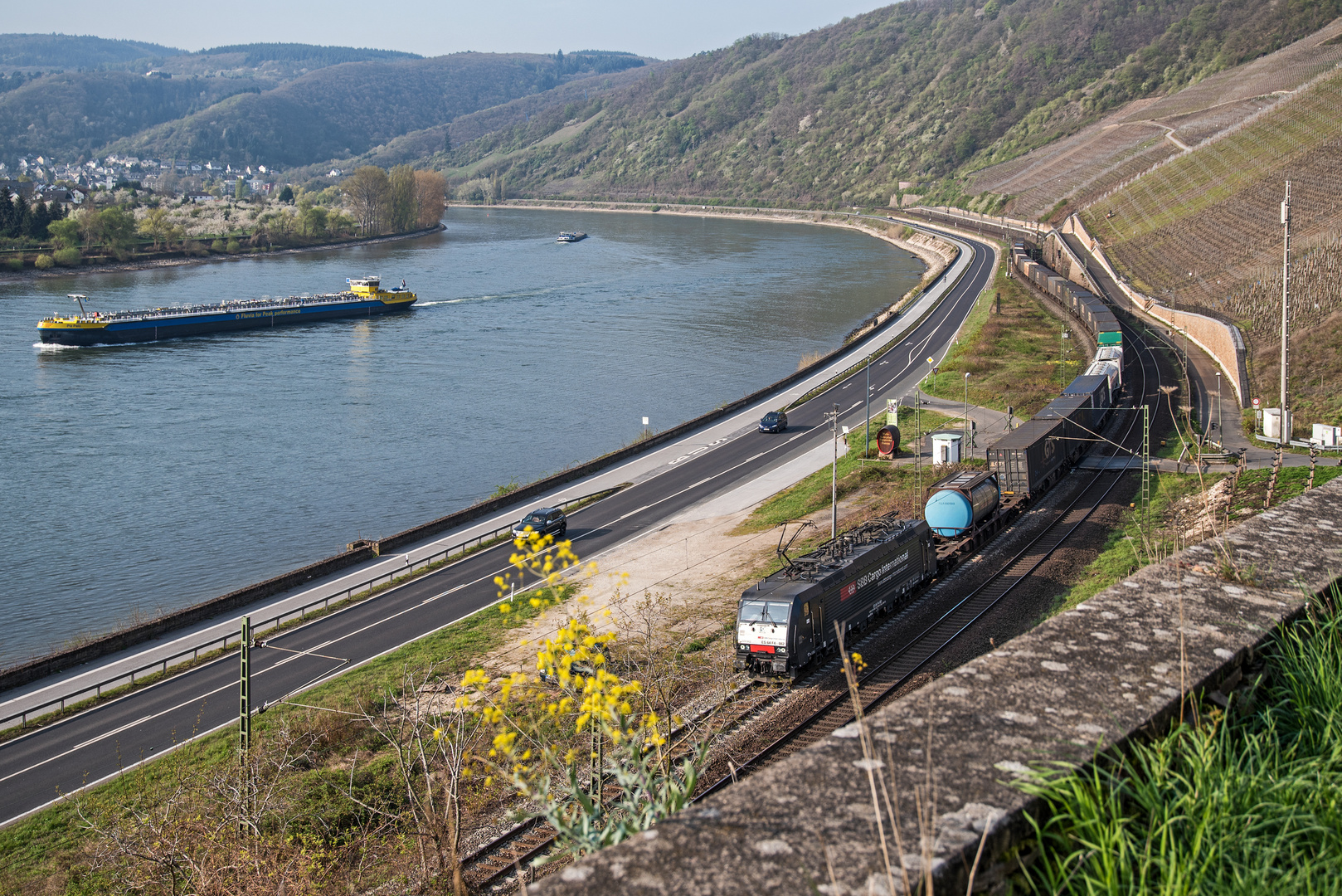 Schweizer Treffen am Mittelrhein