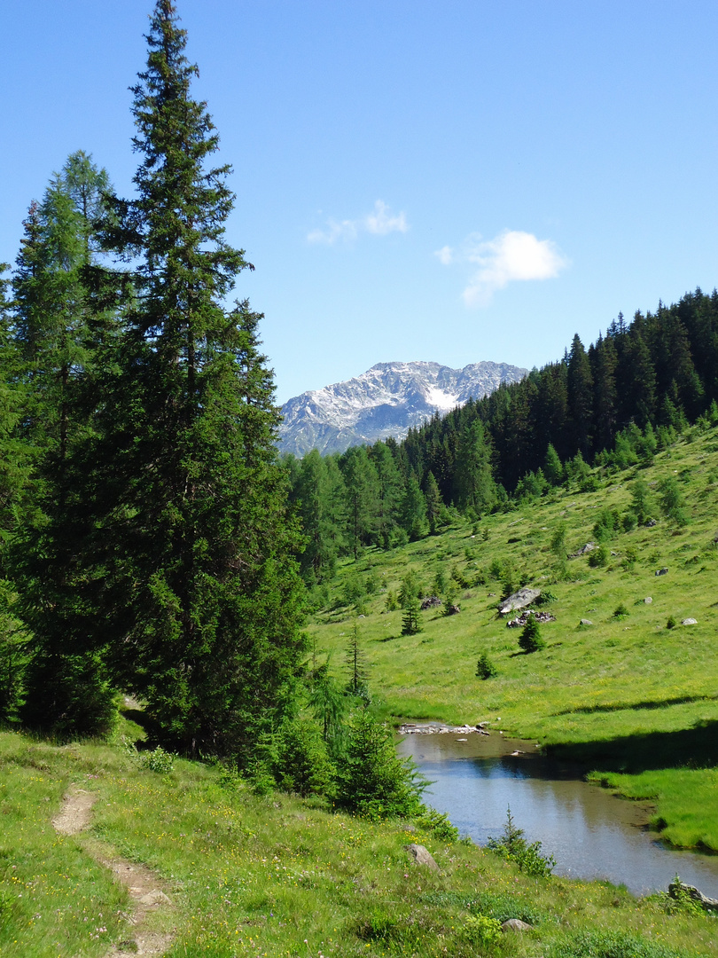 schweizerische Bergwelt-Idylle