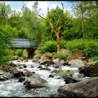 Schweizertal, Sachsen