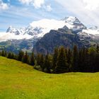 Schweiz_Jungfrau