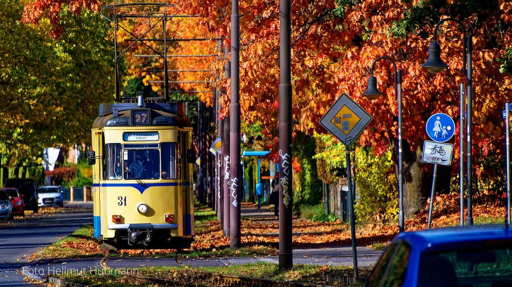 SCHWELLE FÜR SCHWELLE DEN HERBST GENIESSEN