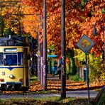 SCHWELLE FÜR SCHWELLE DEN HERBST GENIESSEN