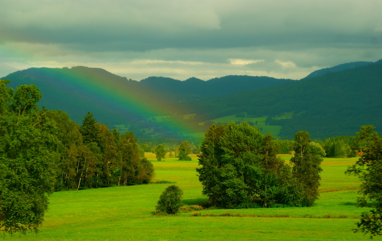 Schwemmlandschaft im schönen Pfaffenwinkel