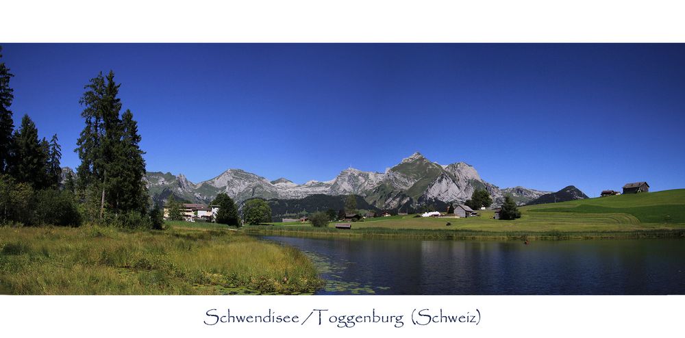 SCHWENDISEE