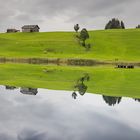 Schwendisee im Herbst