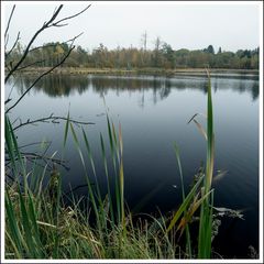 Schwenninger Moos-010-Q
