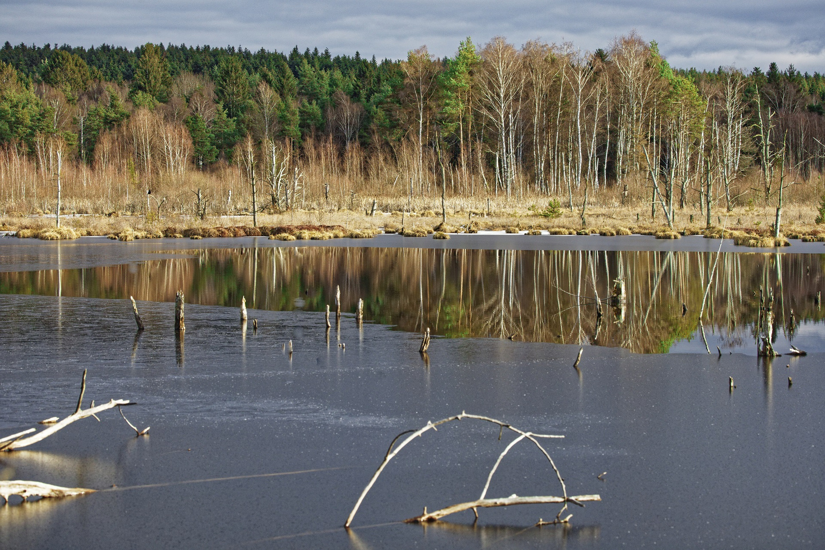 Schwenninger Moos