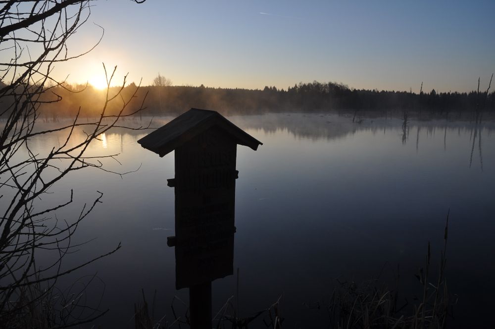 Schwenninger Moos