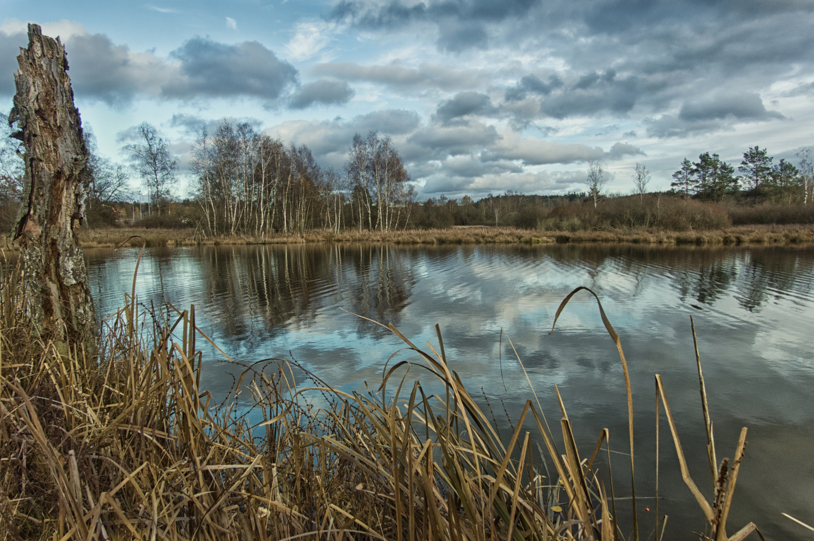 Schwenninger Moos