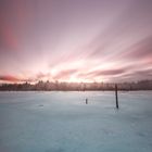 Schwenninger Moos beim Sonnenaufgang