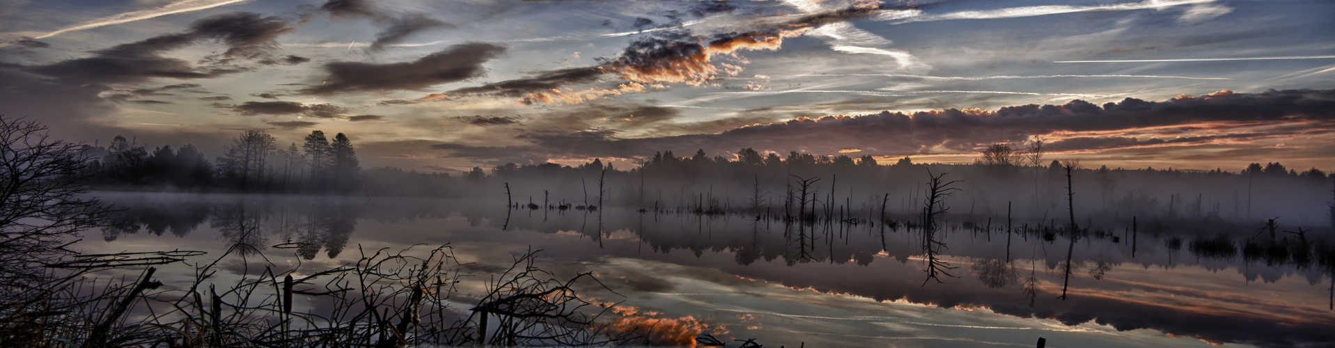 Schwenninger Moos vor Sonnenaufgang