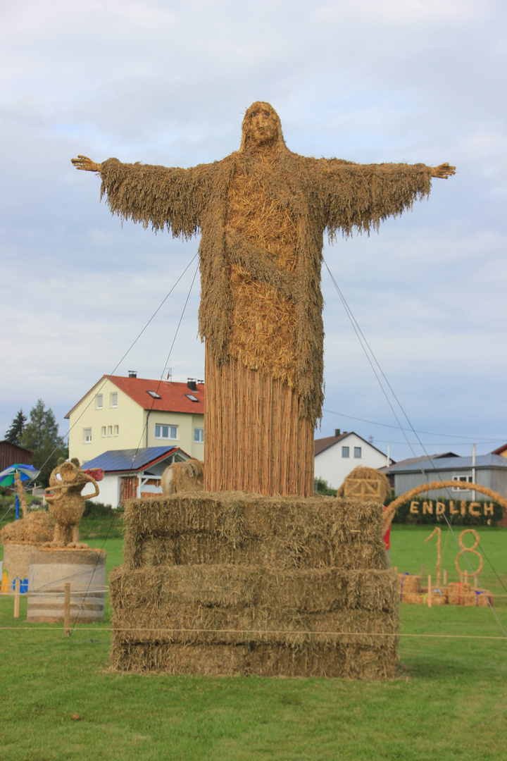 Schwenninger Strohpark 2014 Grüße aus Rio