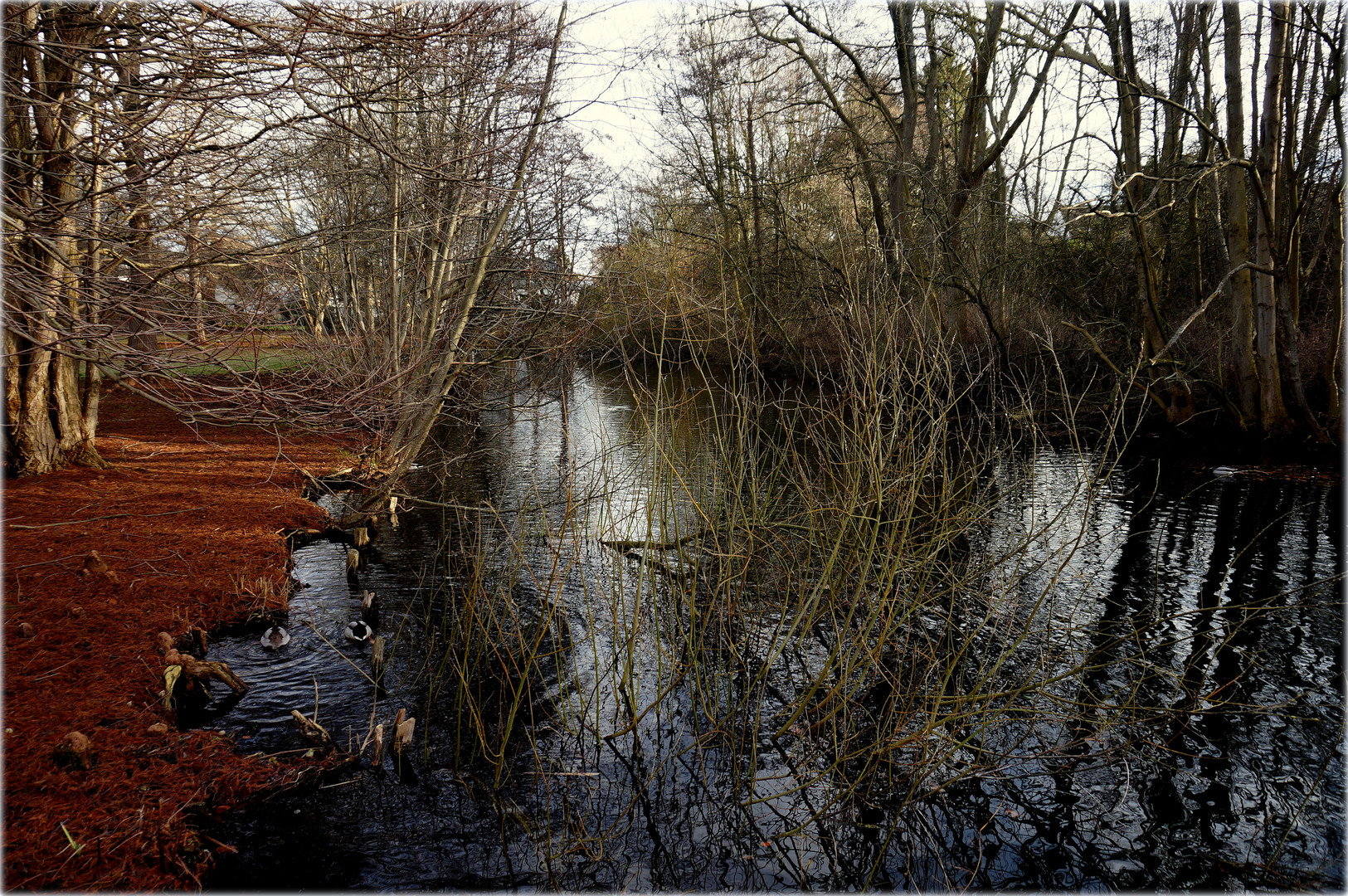 Schwentine im Winter_03 