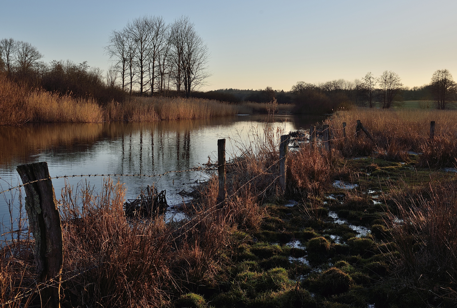 Schwentine in der Abendsonne