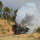 schwer-arbeitend-legen die beidenMallet-Loks der Rh. 442 die letzten Kilometer bis Asmara zurück