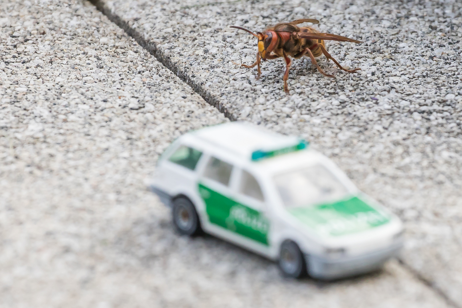 Schwer bewaffneter Angriff aus dem Hinterhalt...