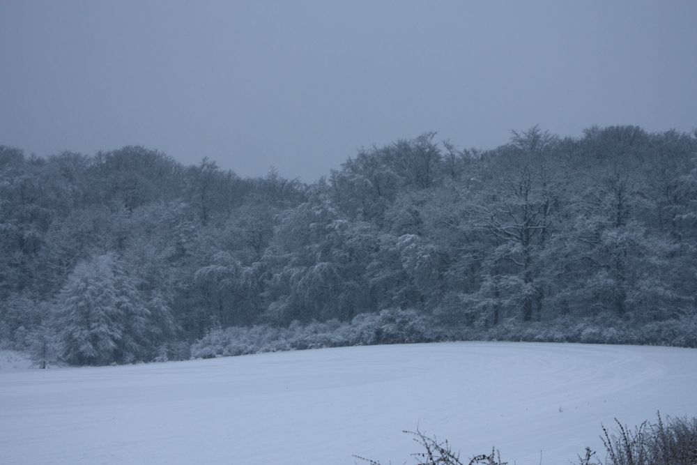 schwer hängt der Nebel überall auf der Landschaft