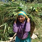 Schwere Arbeit, Pokhara - Nepal