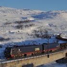 Schwere Brocken für schwere Arbeitsbedingungen