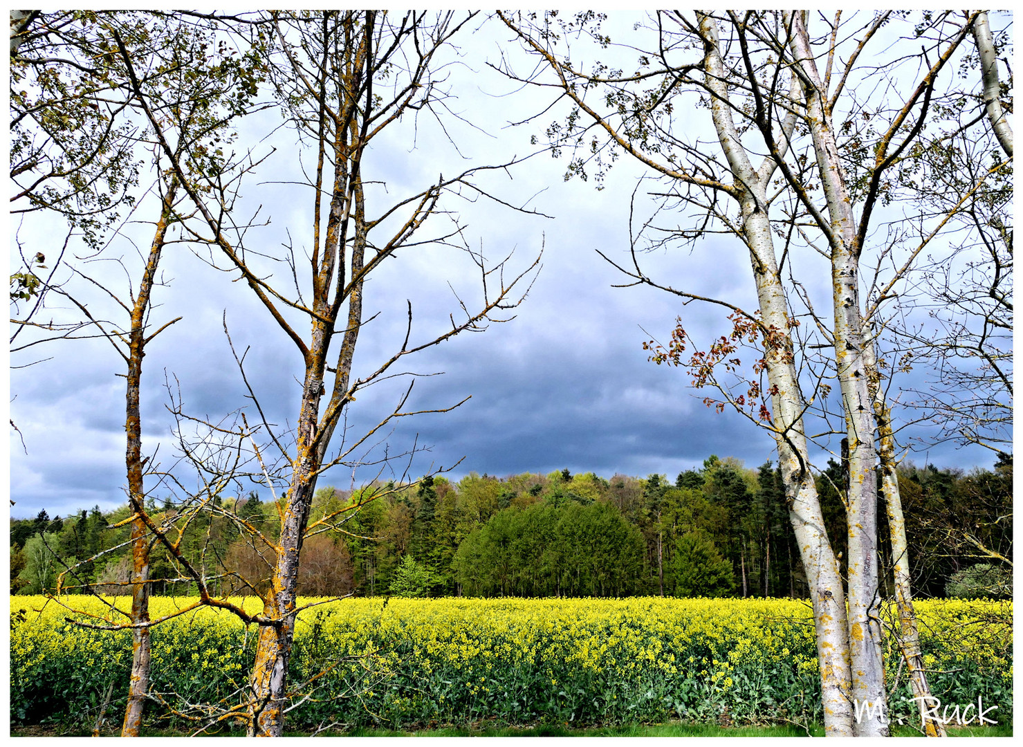 Schwere dunkle Wolken stehen am Firmament !