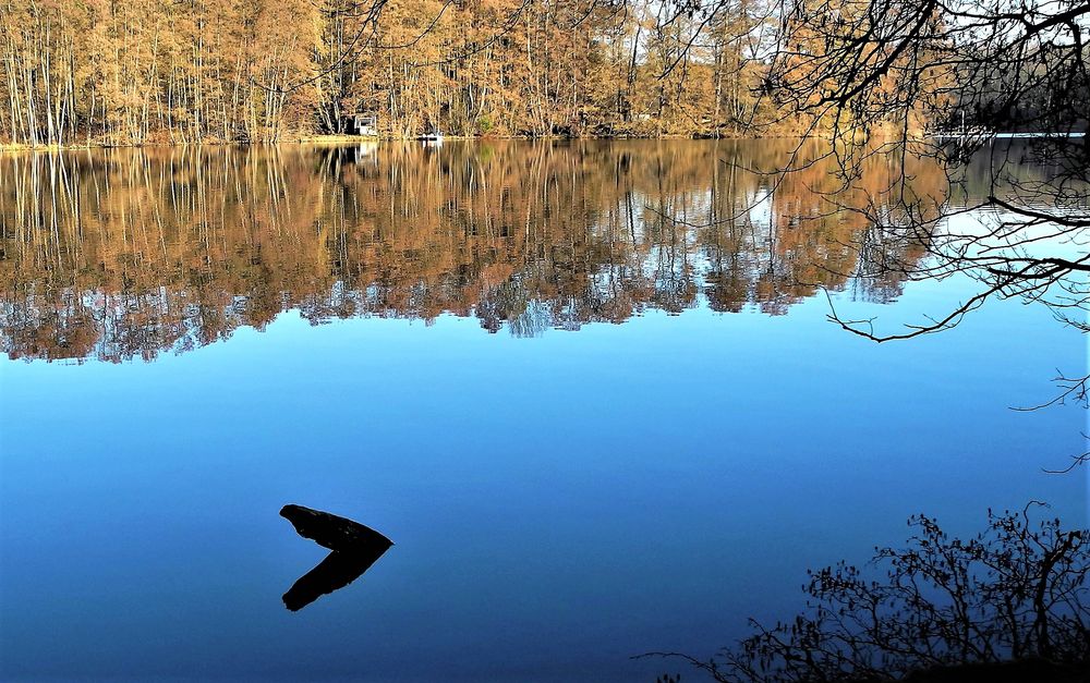 Schwere Entscheidung-  wohin im Februar?