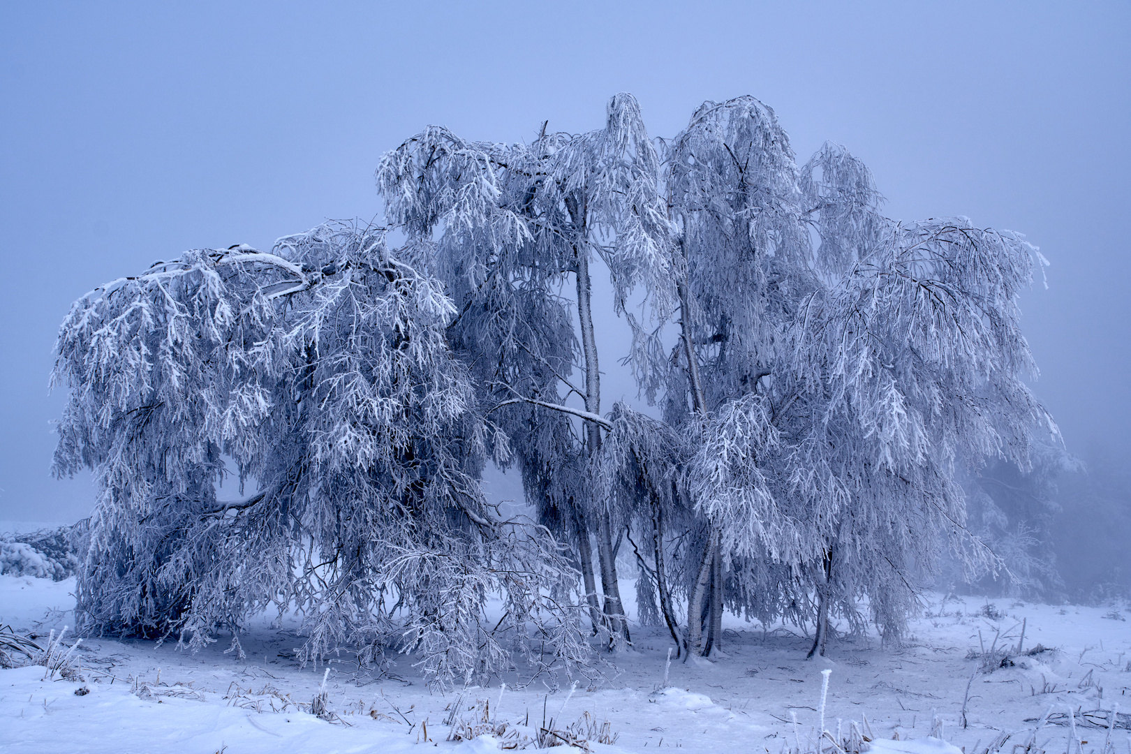 Schwere Last mit Eis und Schnee