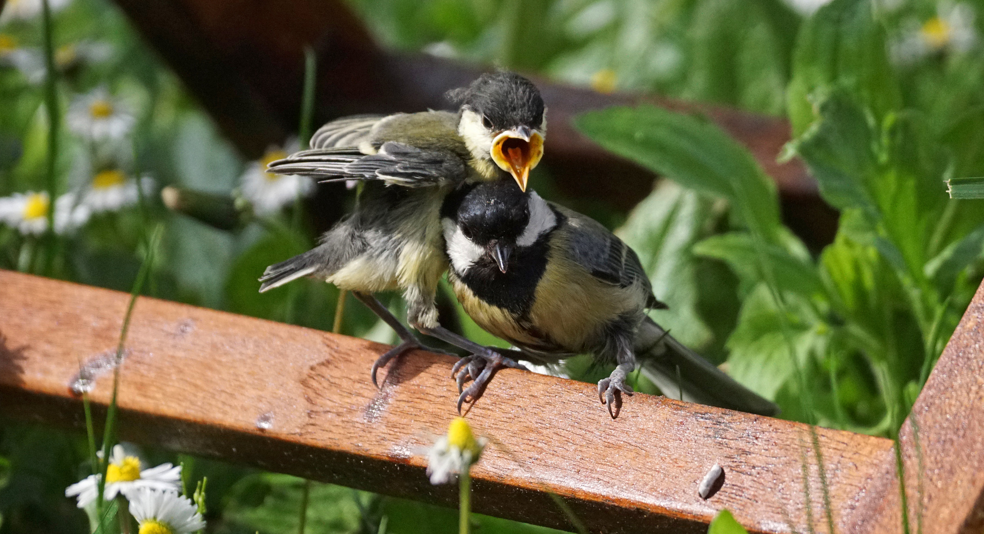 Schwere Turbulenzen