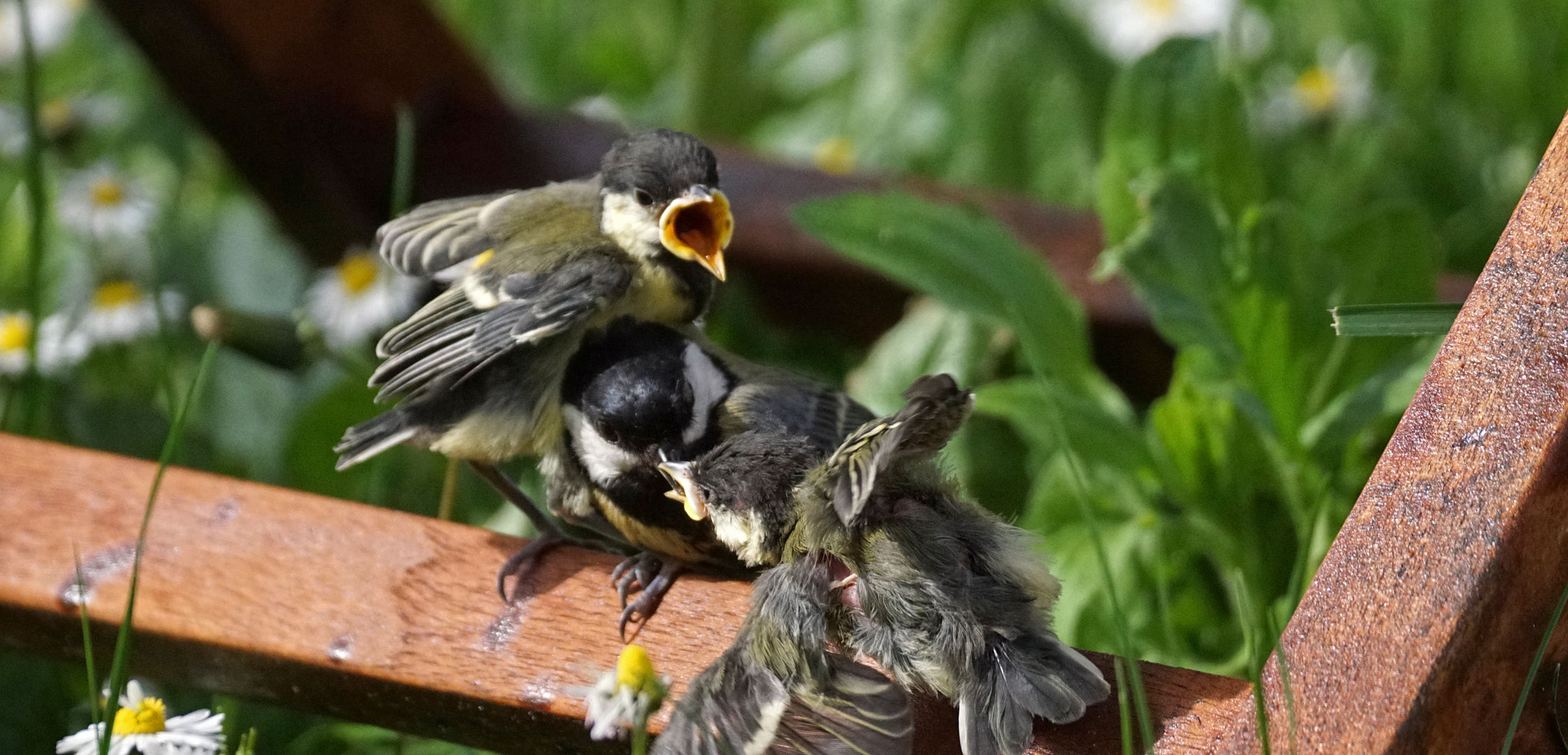 Schwere Turbulenzen