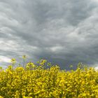 schwere Wolke über dem Feld