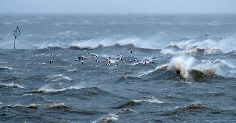 Schwerer Herbststurm in Cuxhaven