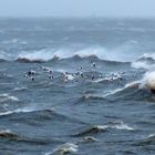 Schwerer Herbststurm in Cuxhaven