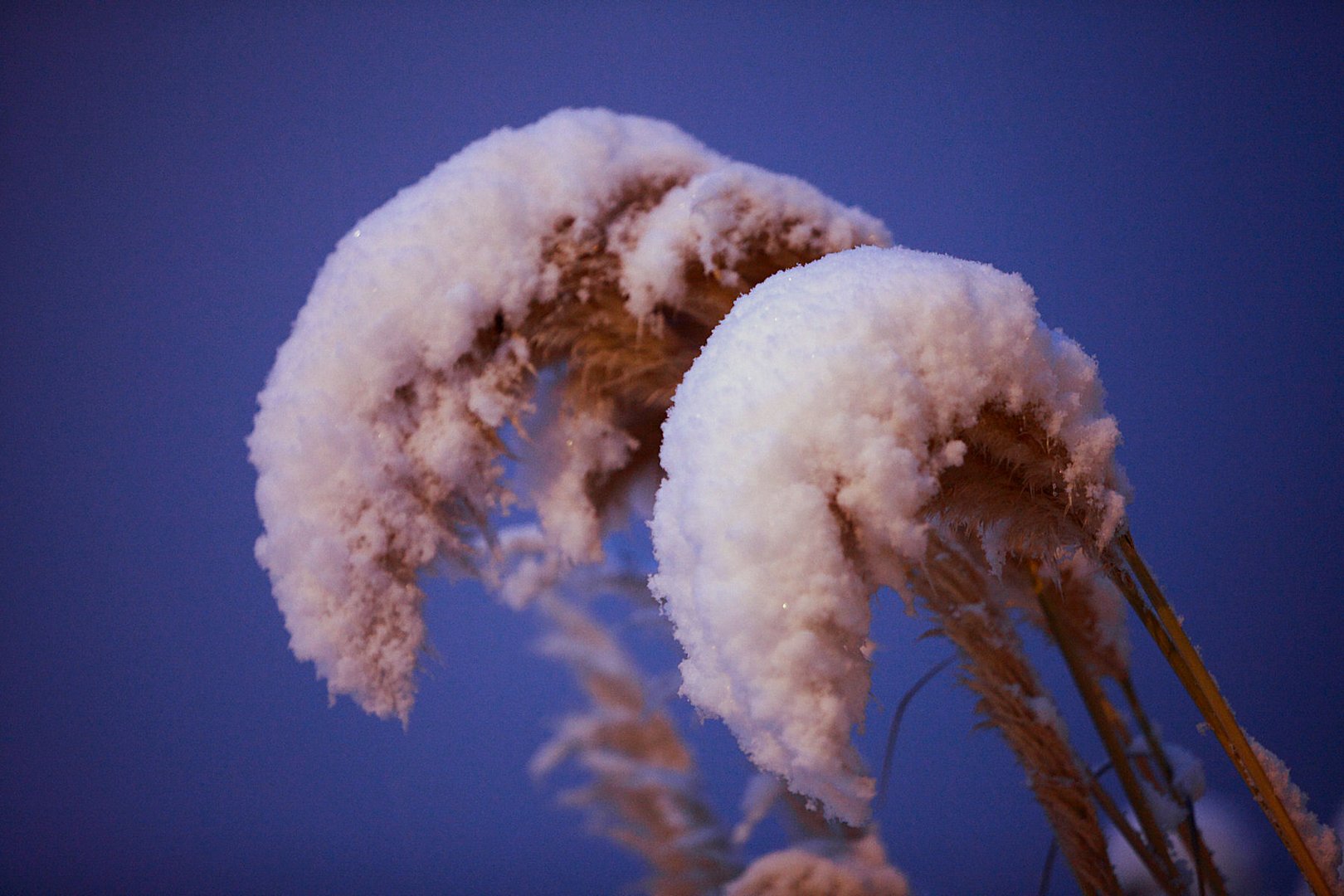 Schwerer Schneefall