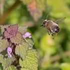 Schweres Fluggerät Im Anflug