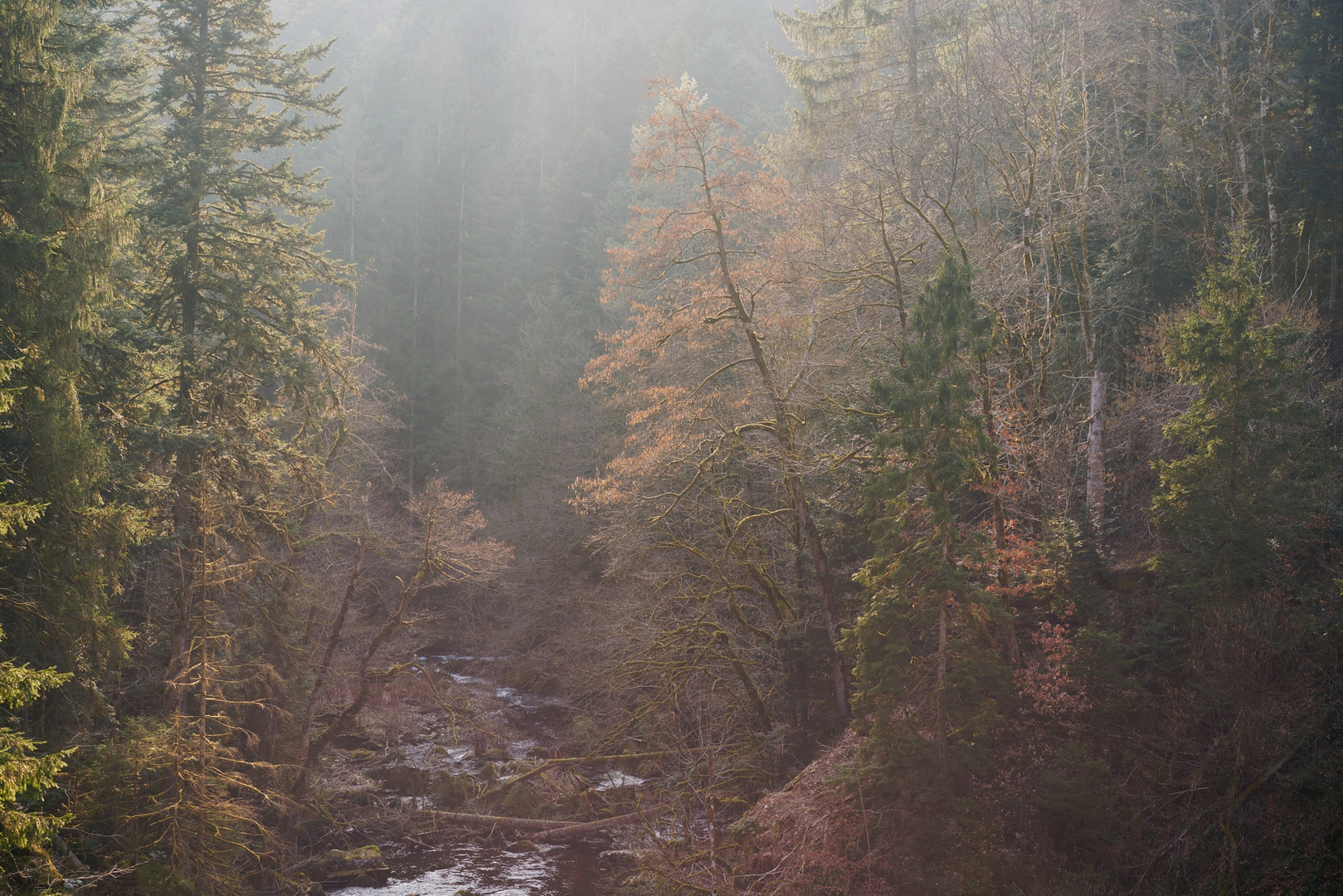 schweres Licht