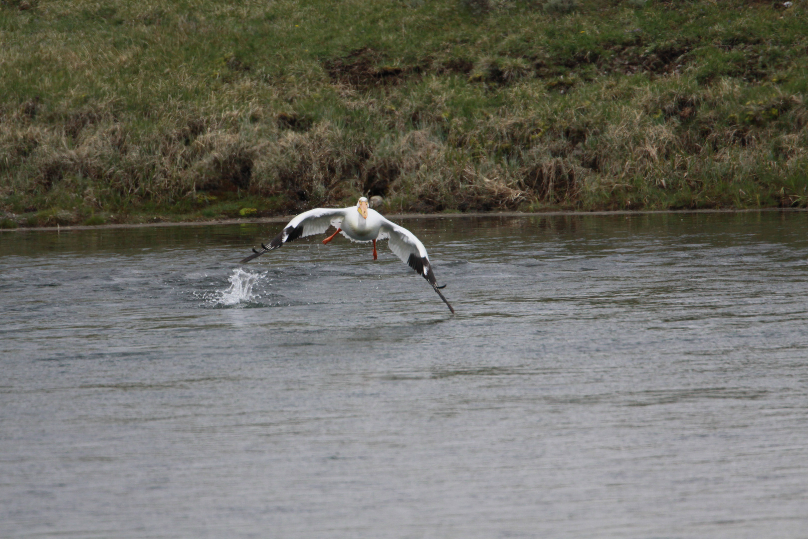 Schwergewicht beim Take-off