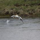 Schwergewicht beim Take-off