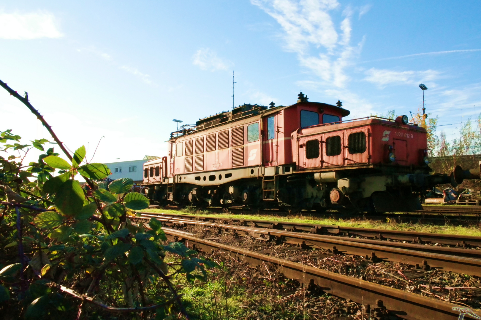 Schwergewicht in rot II