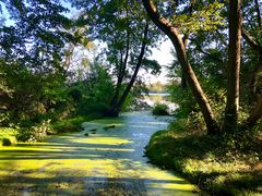 Schwerin am Ostorfer See