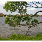 Schwerin am See