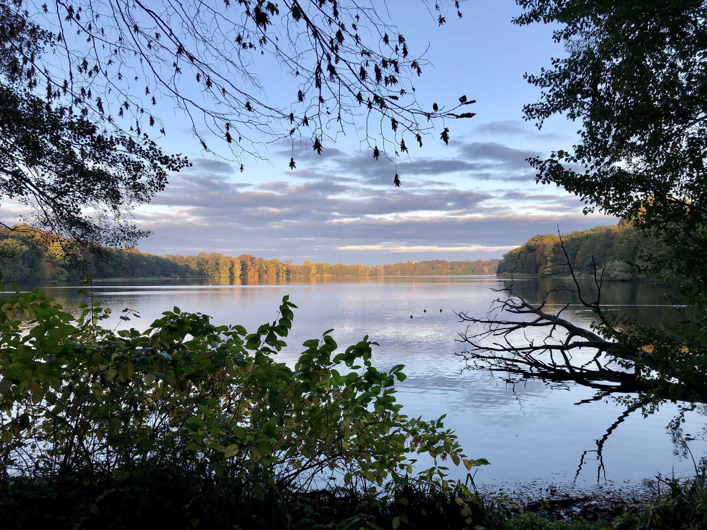 Schwerin Fauler See am Zoo