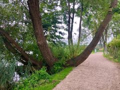 Schwerin neuer Dwang-Radweg