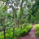 Schwerin Neumühler See (Natur pur)