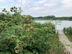 Schwerin Ostorfer See