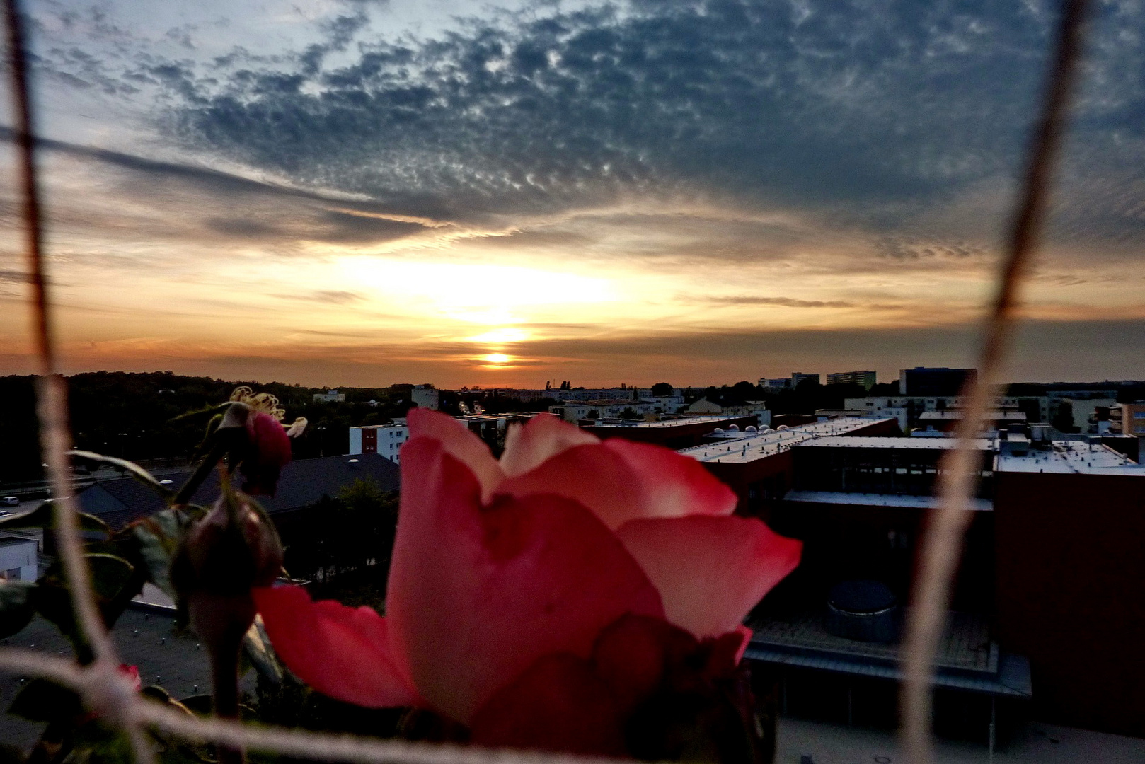 Schwerin, Sonnenuntergang über dem ~ Großer Dreesch ~ 